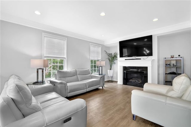 2207 Concordia Way SE Unit 12, Mableton, GA 30126 - living room with recessed lighting, crown molding, light wood-style floors, and a glass covered fireplace