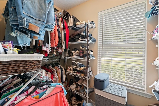 15 Fairwoods Ct, Covington, GA 30016 - view of spacious closet