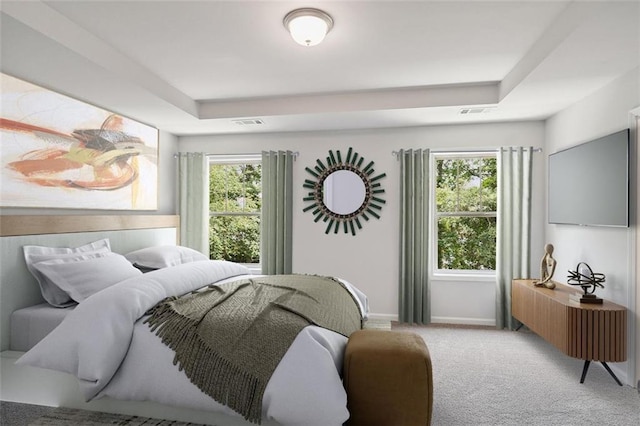 bedroom featuring multiple windows, carpet, baseboards, and a raised ceiling