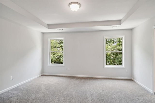 spare room featuring carpet floors, a tray ceiling, and healthy amount of natural light