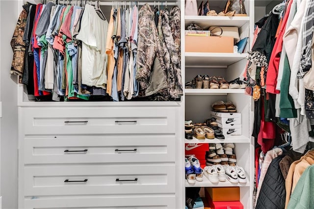 view of spacious closet