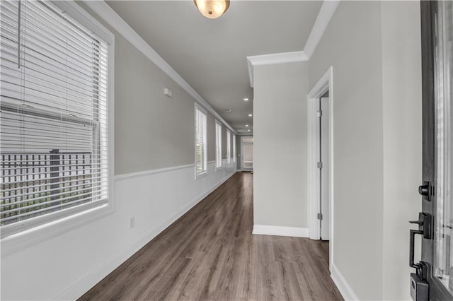 1179 Bennett Creek Overlook, Suwanee, GA 30024 - hall featuring crown molding, plenty of natural light, wood finished floors, and baseboards