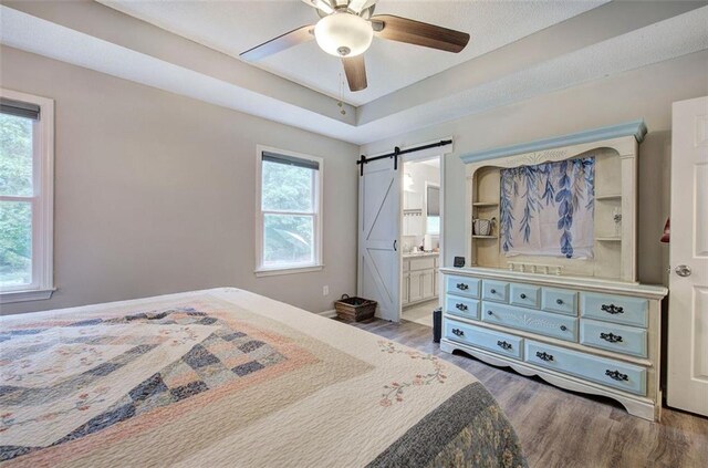 80 Broadlands Dr, White, GA 30184 - bedroom with wood finished floors, a barn door, a tray ceiling, a ceiling fan, and connected bathroom