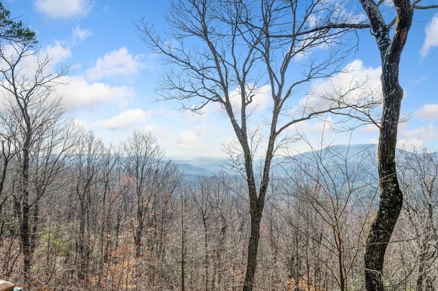 mountain view with a view of trees