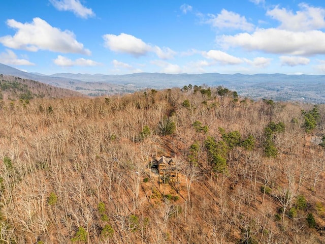 view of mountain feature featuring a view of trees