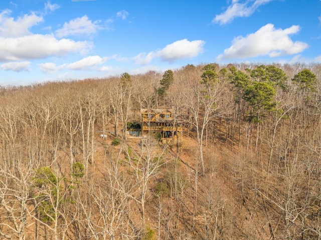 view of local wilderness featuring a forest view