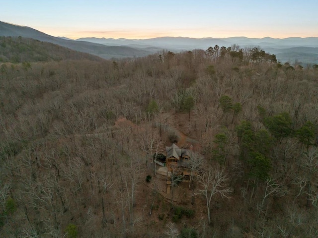 view of mountain feature