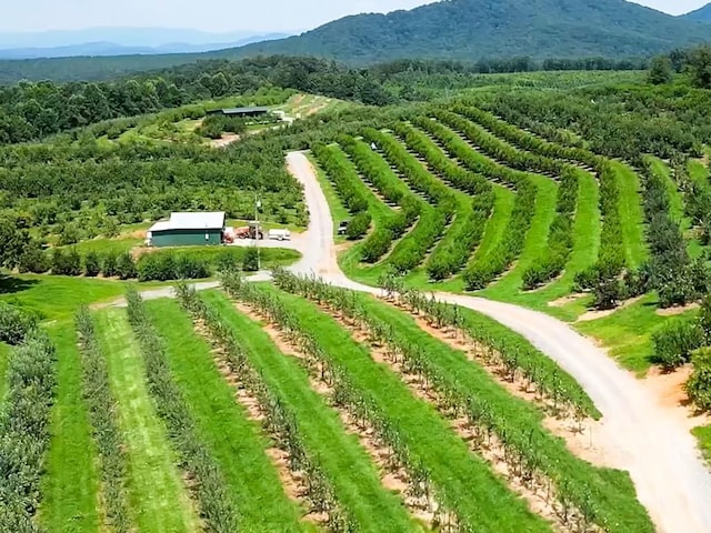 birds eye view of property with a mountain view and a rural view