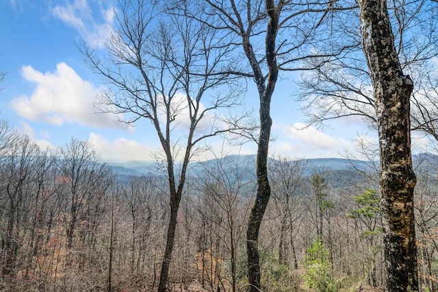 view of mountain feature featuring a wooded view