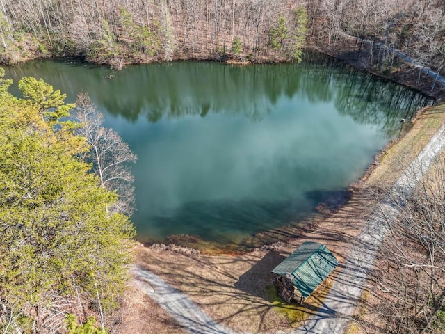 aerial view with a water view and a view of trees