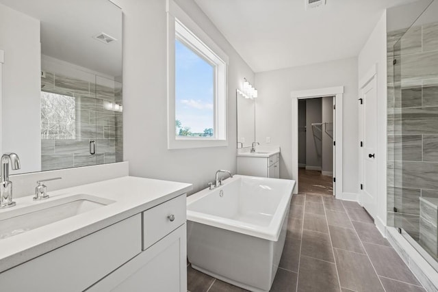 bathroom featuring a shower stall, two vanities, and a sink