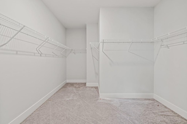 walk in closet featuring carpet floors