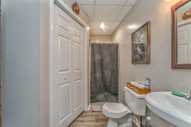 bathroom featuring a shower with curtain, wood finished floors, a drop ceiling, a sink, and toilet