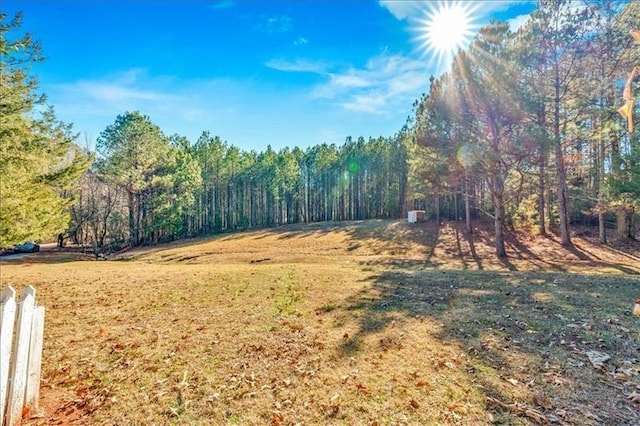 view of yard featuring a forest view