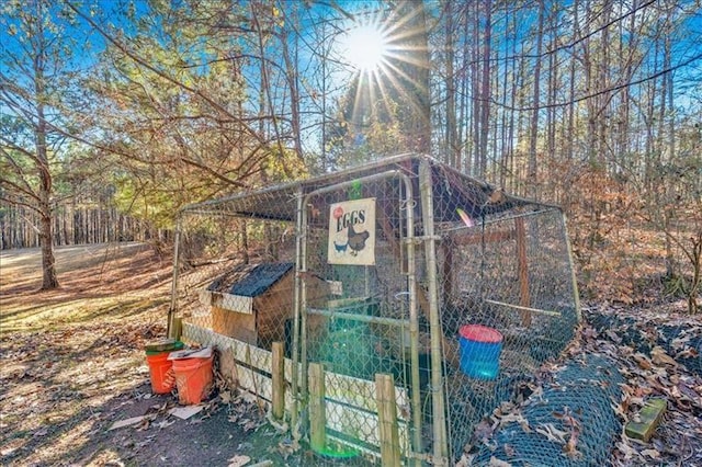 view of poultry coop