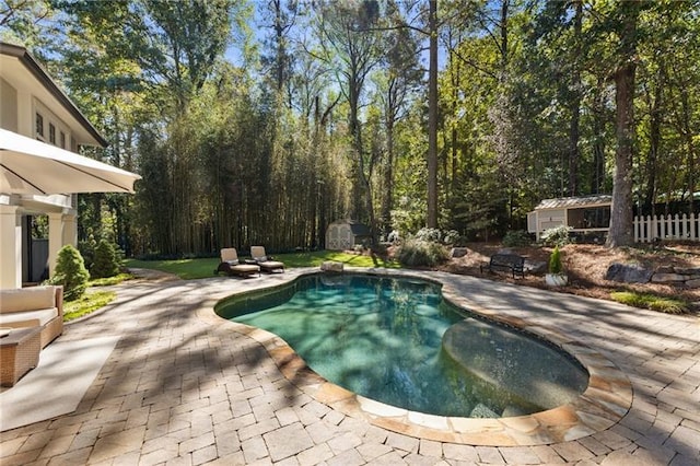 view of swimming pool with a patio area and a storage unit