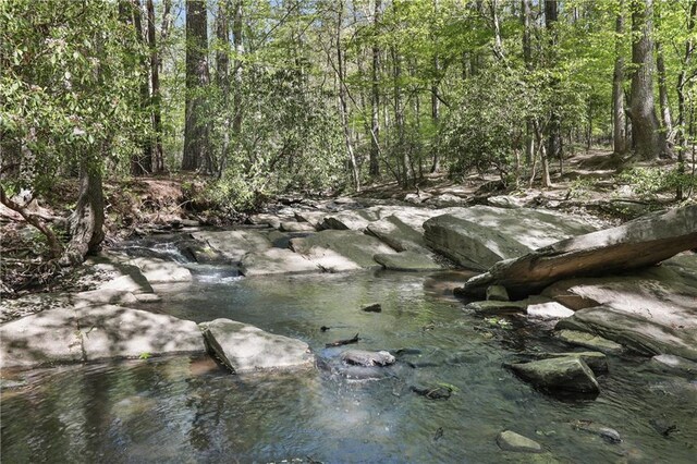 view of local wilderness