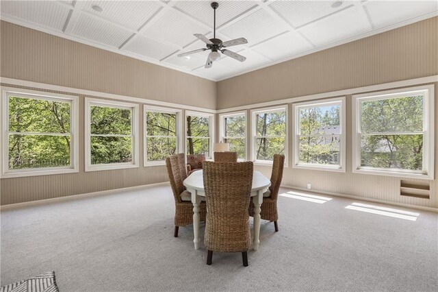 carpeted dining area featuring a wealth of natural light, a ceiling fan, and coffered ceiling