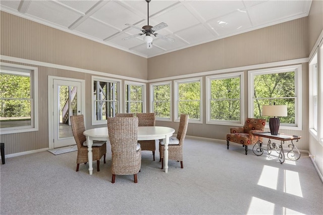 sunroom with coffered ceiling, a healthy amount of sunlight, and carpet flooring