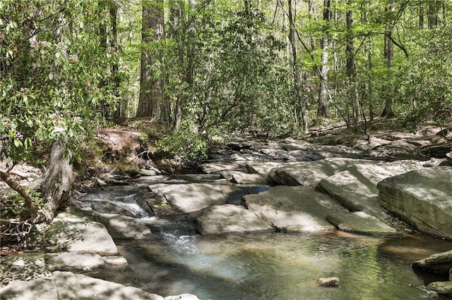 view of local wilderness with a view of trees