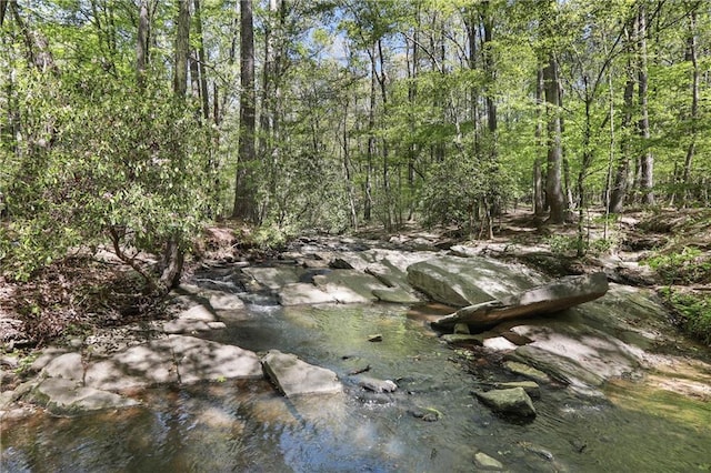 view of local wilderness