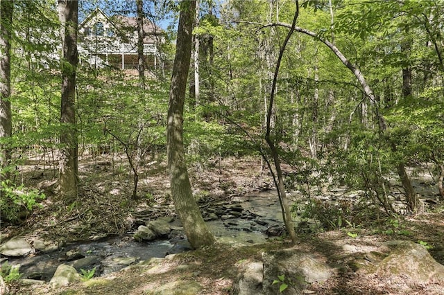 view of local wilderness