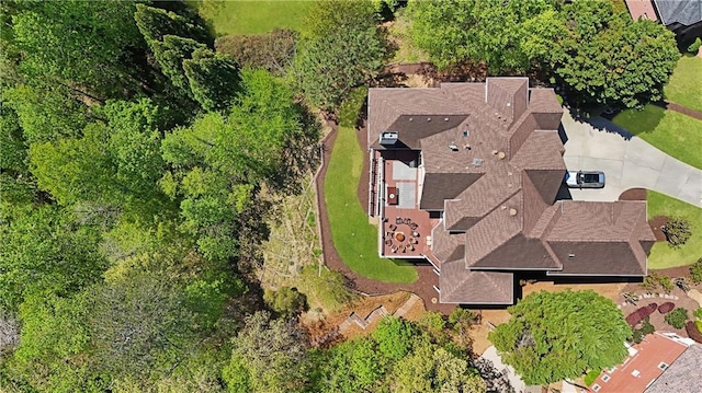 bird's eye view