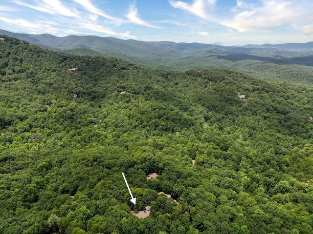 drone / aerial view with a mountain view