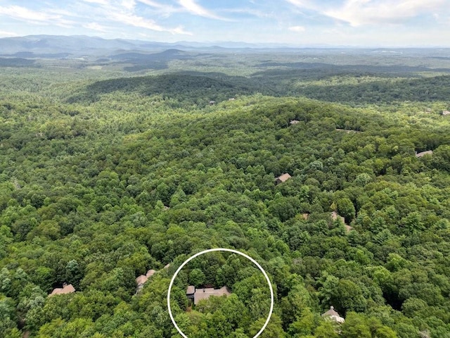 drone / aerial view featuring a mountain view