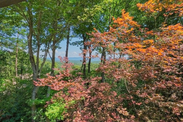 view of landscape