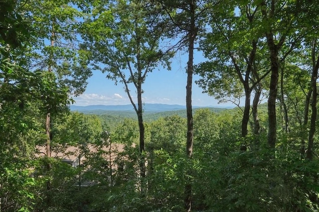 view of nature featuring a mountain view