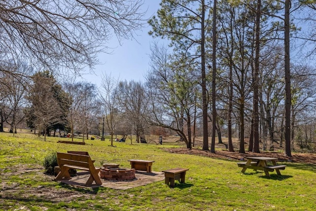 view of yard featuring an outdoor fire pit