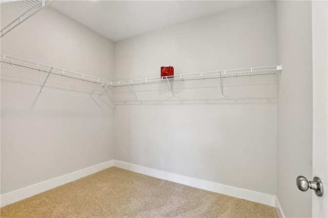 264 Castleberry Station Dr SW, Atlanta, GA 30313 - spacious closet with light carpet