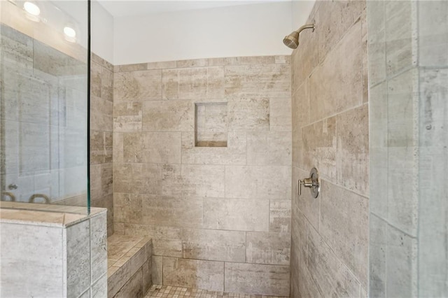 264 Castleberry Station Dr SW, Atlanta, GA 30313 - bathroom with a tile shower