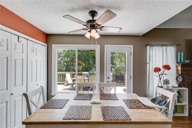 dining area featuring a healthy amount of sunlight, ceiling fan, and a textured ceiling