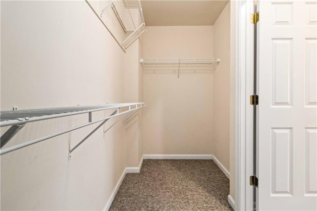 spacious closet with carpet flooring