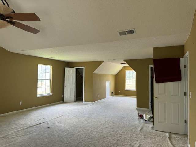 additional living space featuring light carpet, a textured ceiling, and vaulted ceiling