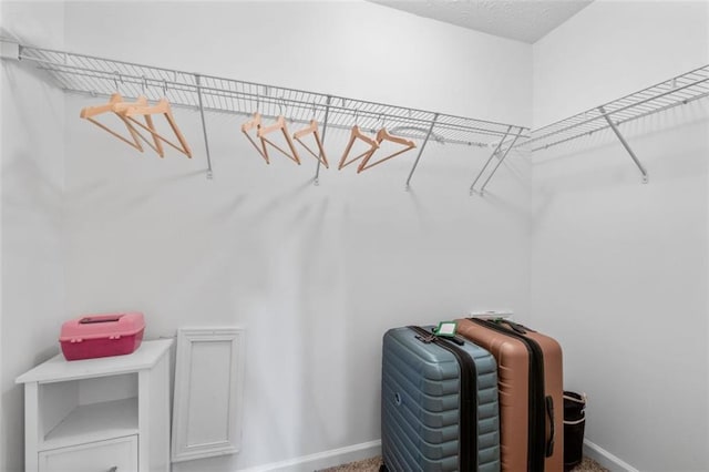 2826 Snapfinger Mnr, Decatur, GA 30035 - spacious closet with carpet floors