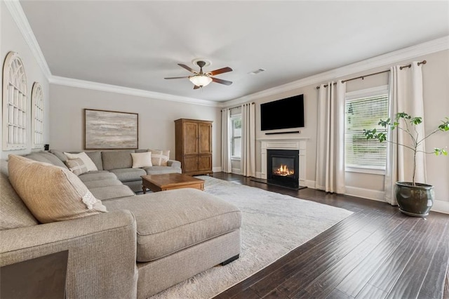 406 Dunaway Ct, Grayson, GA 30017 - living room with a glass covered fireplace, dark wood finished floors, ceiling fan, and crown molding