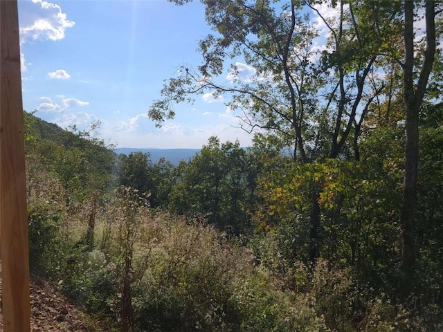 view of local wilderness featuring a forest view