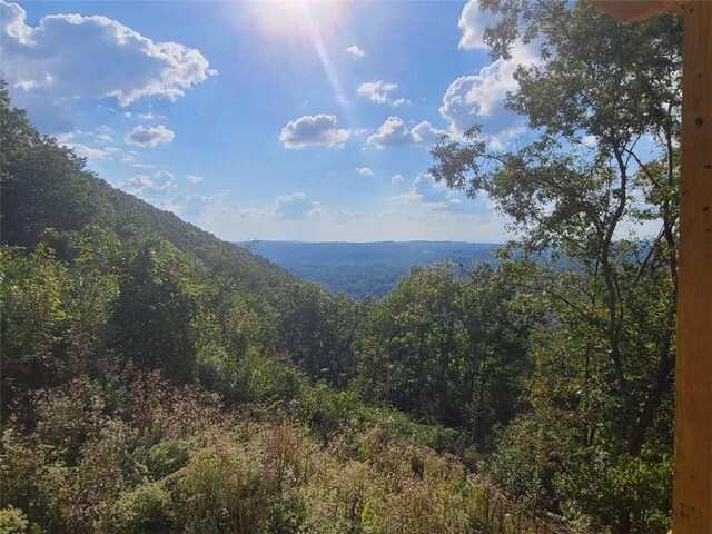 view of mountain feature featuring a wooded view