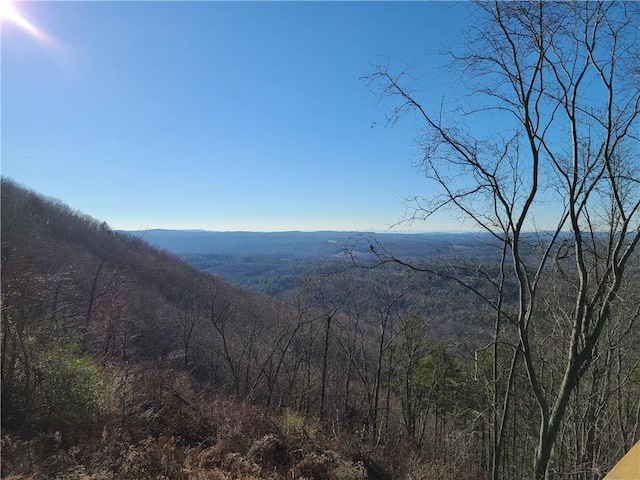 view of mountain feature featuring a forest view