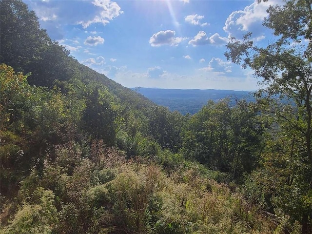 property view of mountains with a forest view