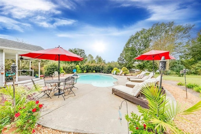 view of pool with a patio area