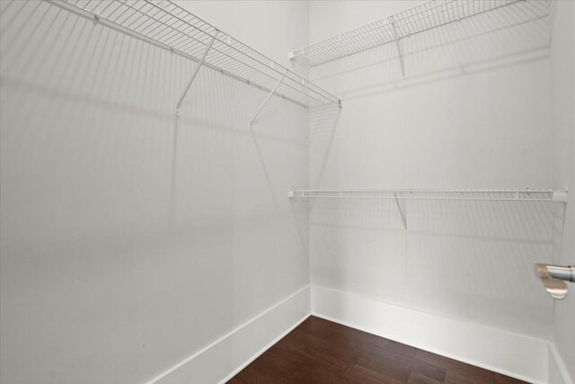 walk in closet with wood finished floors