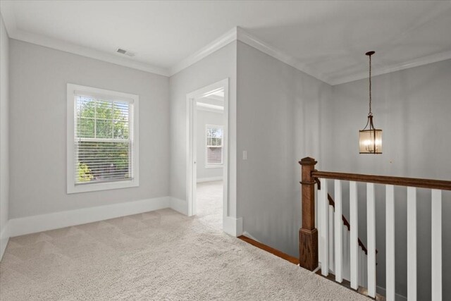 interior space featuring carpet, visible vents, baseboards, and ornamental molding