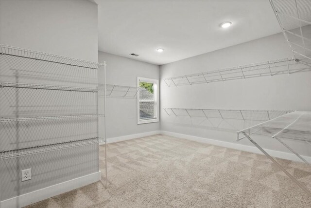 walk in closet featuring carpet flooring