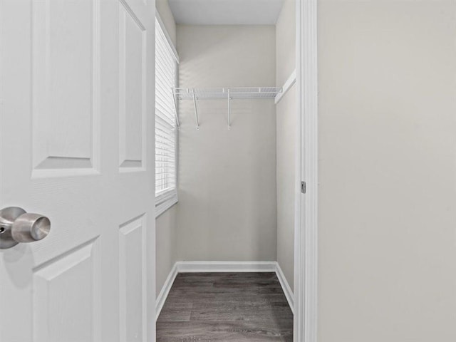 walk in closet with hardwood / wood-style floors