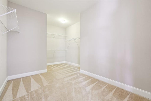 spacious closet with carpet flooring