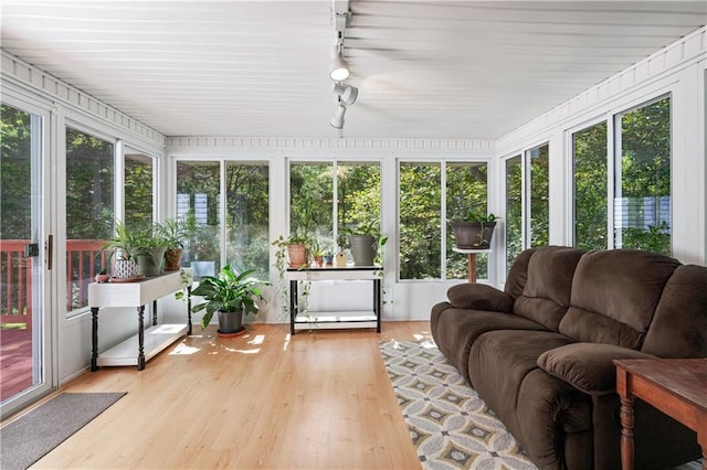 sunroom / solarium featuring rail lighting